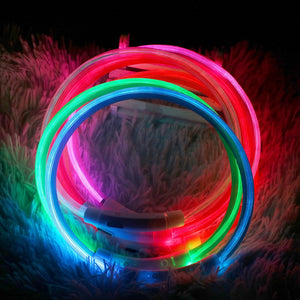 Led Usb Dog Collar