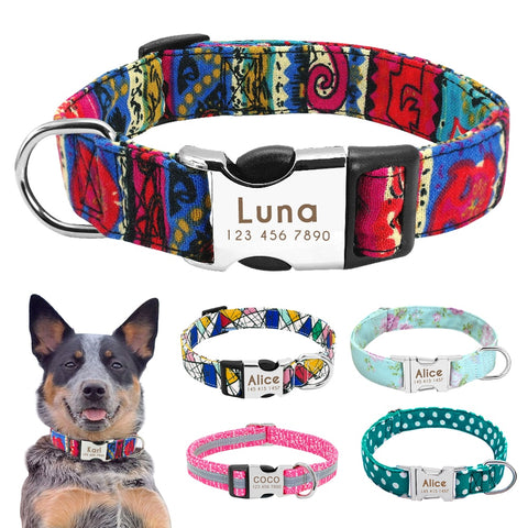 Image of Nylon Dog Collar