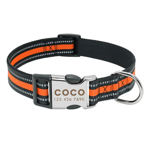 Image of Nylon Dog Collar