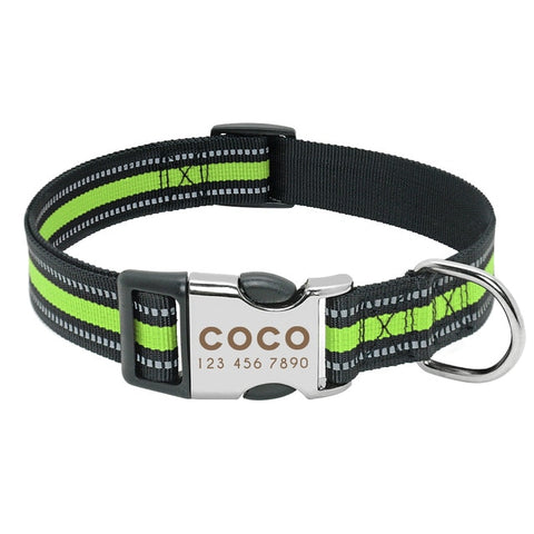 Image of Nylon Dog Collar