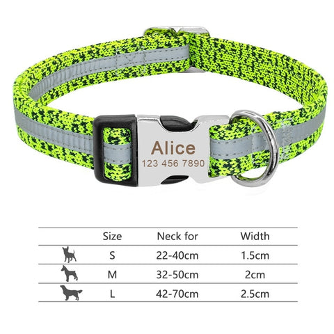 Image of Nylon Dog Collar